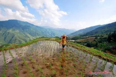 Guilin Tour with Longji Rice Terraces Exploration