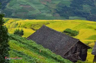Shenzhen-Guilin-Yangshuo Tour