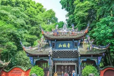 Chengdu Panda Tour