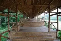 inside the park