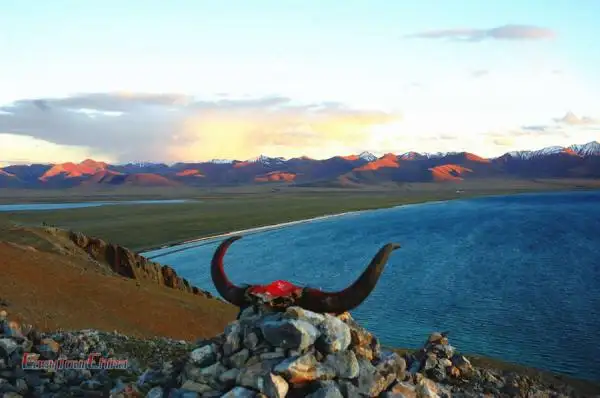 China road trips to Tibet after COVID-19