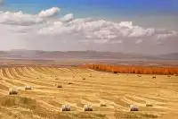 Photography Trip to Hulunbuir Prairie, Inner Mongolia