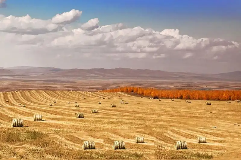 Trip to Hulunbuir Grassland