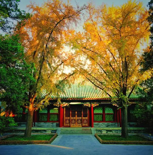 Prince Gong's Mansion in Autumn