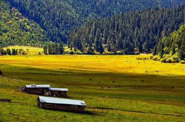 Lijiang & Shangri-la Adventure Tour for Family