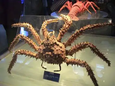 Qingdao Underwater World