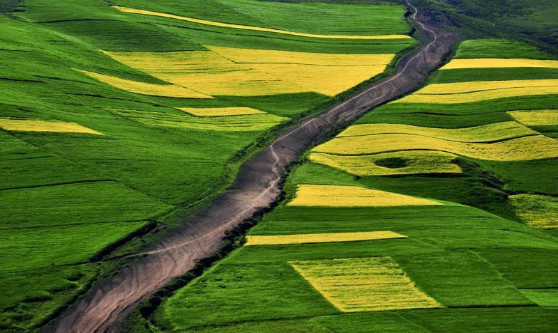 China Qinghai Lake adventures