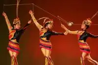 Shanghai Acrobatic Shows