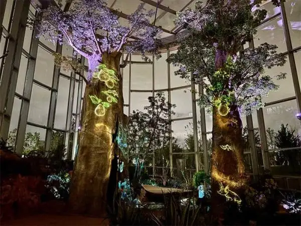 Shanghai Greenhouse Garden Night Tour