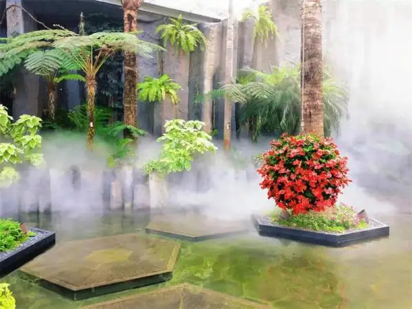 Flowers in Shanghai Greenhouse Garden