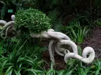 South China Botanical Garden guangzhou