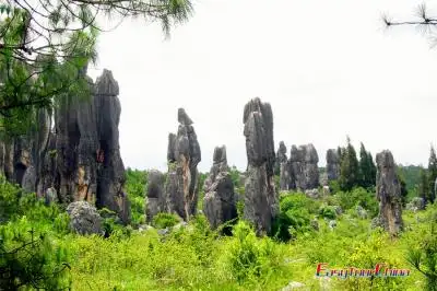 Kunming Highlights Tour