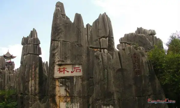Slide 2