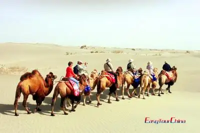 Taklamakan Desert Travel Guide: Xinjiang's Sea of Death