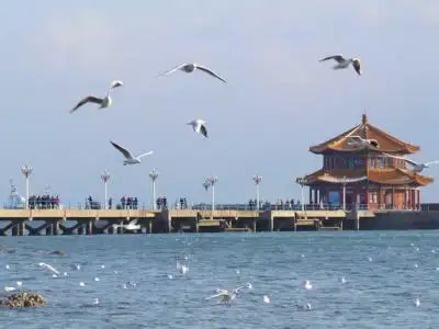 Qingdao Weekend Holiday