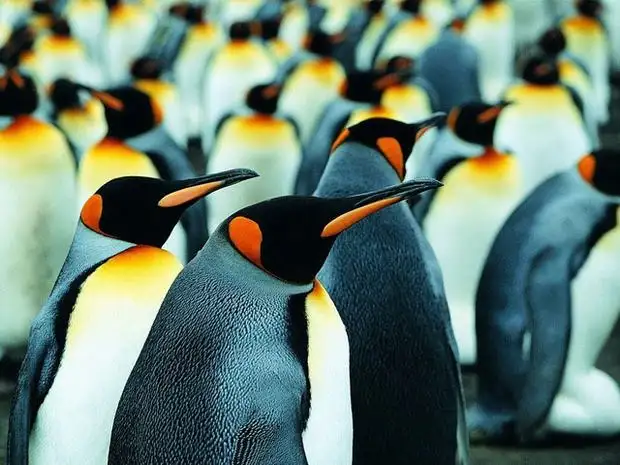 Visit Laohutan Ocean Park, Dalian