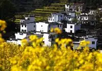 10-day Hangzhou Wangxian Valley Wuyuan Huangshan Shanghai Tour