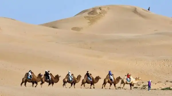 China Kubuqi Desert camel riding