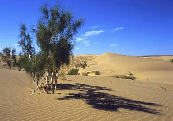 Explore Gurbantunggut Desert in China