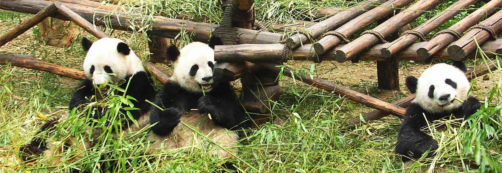 China Tours from Indonesia