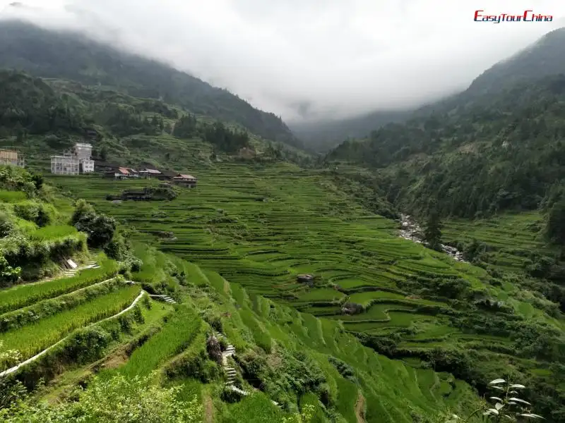Guizhou