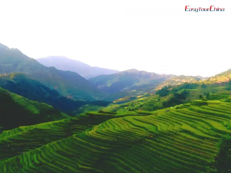 Guizhou