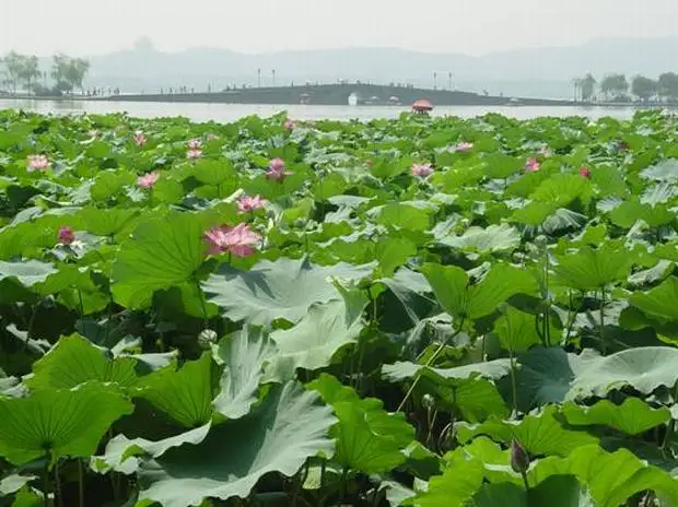 Shenzhen – Hangzhou Tour