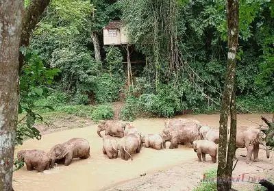 Xishuangbanna Tour