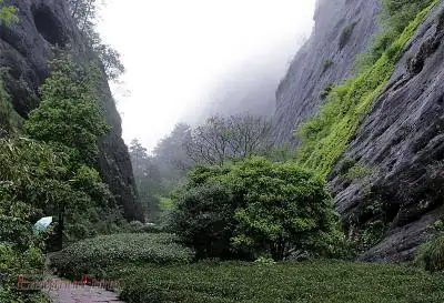 4 Days Wuyishan Tour