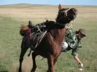 horse racing