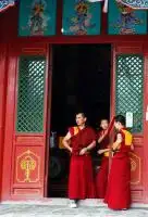 monks in the temple