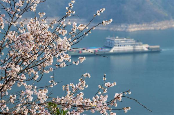 Yangtze River Cruise