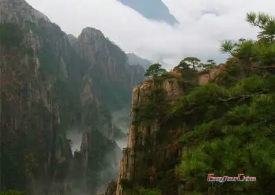 Huangshan Discovery Tour