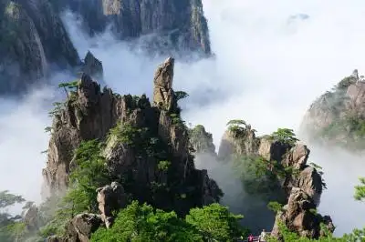 Huangshan Yellow Mountain Mini Group Tour