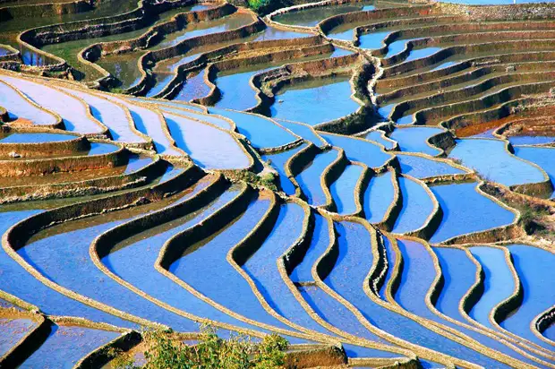 Yuanyang Rice Terraces