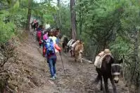 Meili Snow Mountain-Yubeng Village Trekking Guide & Tips